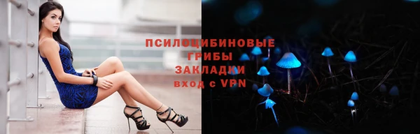 Альфа ПВП Пестово