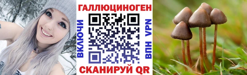 Псилоцибиновые грибы мицелий  Боровичи 